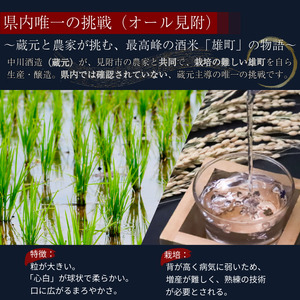 越乃白雁　純米大吟醸「雄町」 720ml