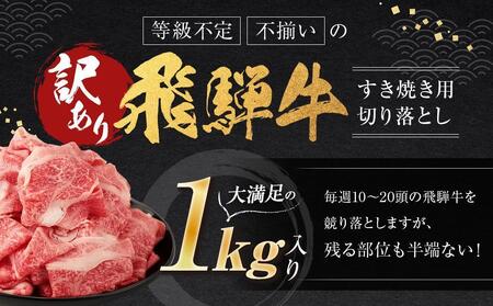 【10月配送】訳あり 飛騨牛すき焼き用切り落とし（不揃い・大容量）1kg | 訳あり BV026VC10
