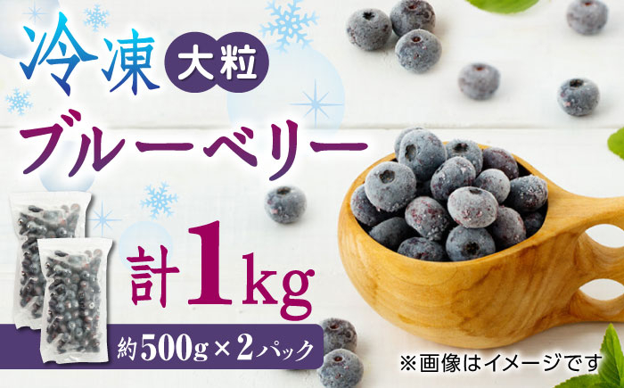 
【数量限定】冷凍ブルーベリー 大粒 計1kg (約500g×2パック) 熊本県産 山都町産 ブルーベリー フルーツ スムージー 果物 小分け 国産【興梠農園】[YBQ003]
