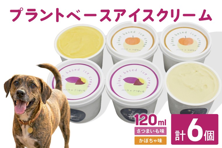 
                  プラントベースアイスクリームセット　for humans and dogs さつまいも味・かぼちゃ味｜茨城県 行方市 ふるさと納税 アイス お菓子 植物性ミルク 豆乳 スイーツ デザート（HZ-2）
                