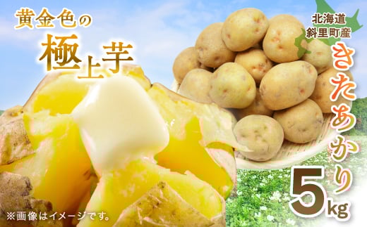 
            知床の大自然が育む黄金色の極上芋　きたあかり　5kg【1537870】
          