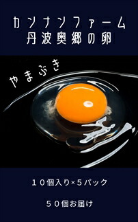 丹波奥郷の卵 やまぶき 45個+5個破卵補償 約3kg 自家配合飼料 新鮮卵 たまご 玉子 エッグ 濃厚卵黄 すっきり卵白 高級卵 朝食 お菓子作り 産地直送 お取り寄せ 兵庫県 丹波市