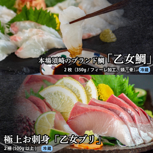 【 刺身 】 刺身定期便3ヶ月