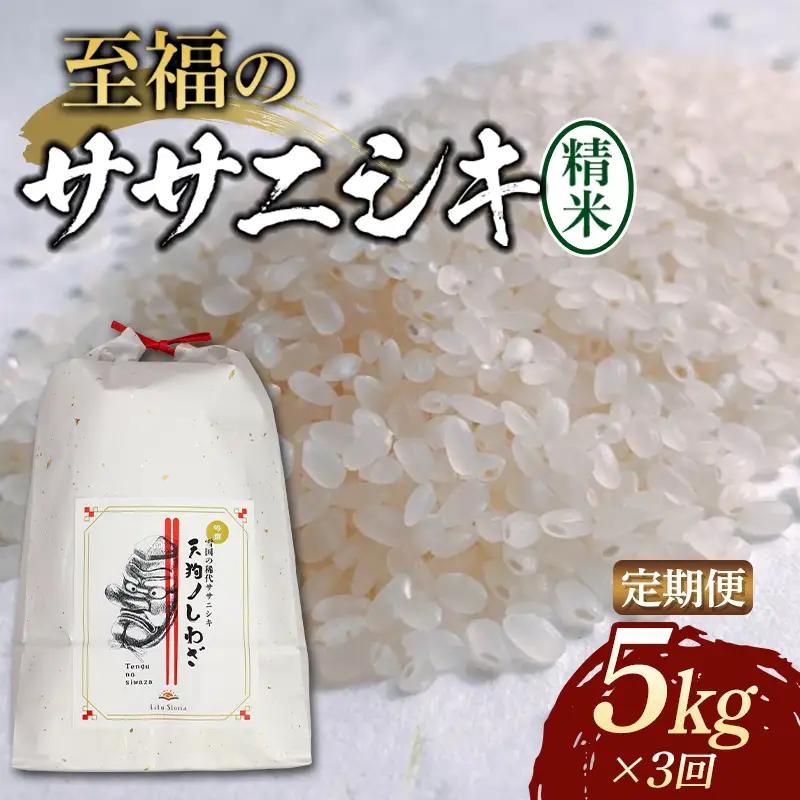 【令和8年産米先行予約】（全3回定期便）至福のササニシキ 精米 5kg 米 お米 おこめ 山形県 新庄市 F3S-2849