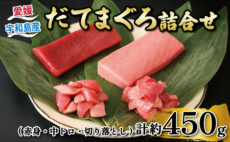 マグロ 鮪 計約450g 赤身 中トロ 切り落とし だてまぐろ 詰合せ 辻水産 鮪鮪鮪鮪海鮮海鮮海鮮海鮮海鮮 D024-062005