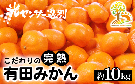 ＼光センサー選別／こだわりの有田みかん 約10kg 有機質肥料100% ※2024年11月中旬頃～2025年1月頃に順次発送予定 ※沖縄・離島への配送不可 ふるさと納税 ミカン