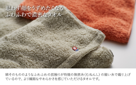 今治ふんわり雲羽タオル ミニバスタオル・フェイスタオルセット(BTテラコッタ、FTピスタチオグレー・各1枚) テラコッタ ピスタチオグレー 今治タオル 今治 日本製 高品質タオル 吸水性 抜群タオル 