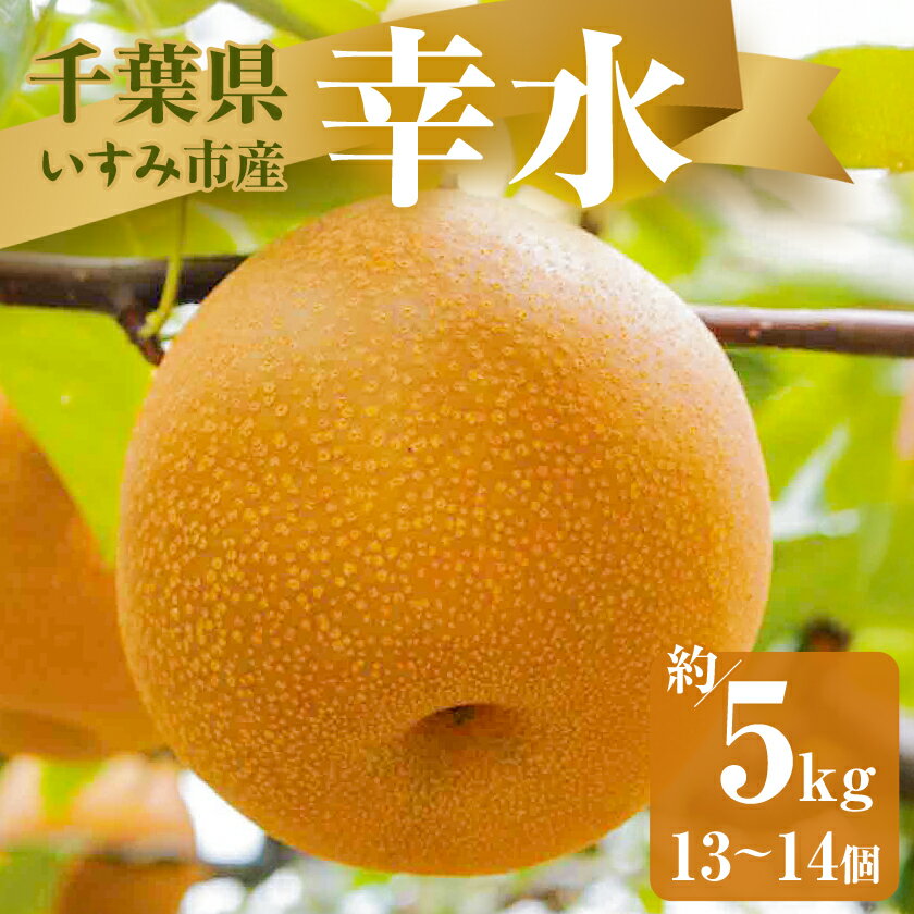 【ふるさと納税】【2026年発送先行予約】いすみ市産幸水梨　約5kg(13～14個)【1462339】