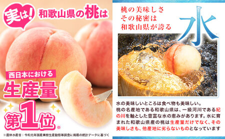 桃 もも【2025年先行予約】和歌山県産 紀の里の桃 約1kg (3-5玉入り)《6月中旬-8月中旬頃出荷》 桃 2025年 先行 桃 先行予約2025 もも2025 白鳳 日川白鳳 八旗白鳳 清水白
