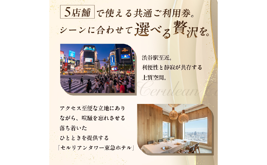 【セルリアンタワー東急ホテル】館内5レストランで使える共通ご利用券（10,000円券×1枚）【011025】