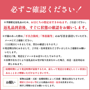 いちご 1kg 紅ほっぺ あまえくぼ 食べ比べ セット ( 2025年 1月 以降 発送予定 )  4パック 朝採れ 期間限定 人気 果物 フルーツ 新鮮 旬 冬 春 ケーキ ショートケーキ デザート