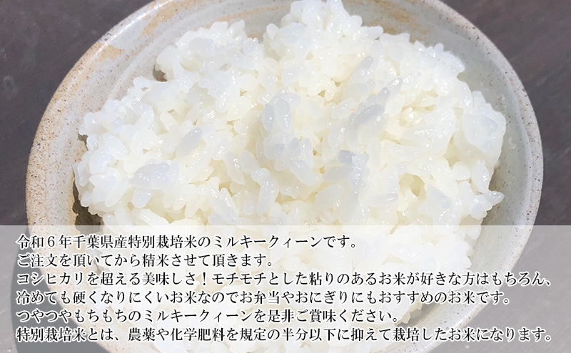 2ヶ月　定期便 令和7年 ミルキークィーン　乾式無洗米　10kg×2ヶ月 お米 銘柄米 ご飯 おにぎり お弁当 和食 食卓 精米 国産 千葉県産 産地直送