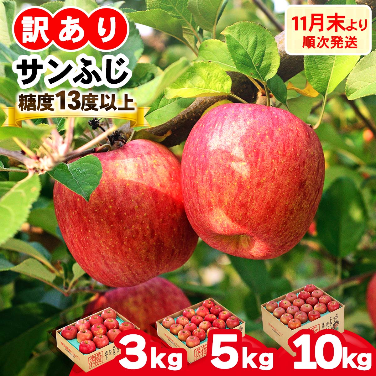 【ふるさと納税】[訳あり] りんご サンふじ 見た目にわけあり 味はそのまま｜令和8年産 2026年産 青森 津軽 つがる りんご リンゴ サンフジ 家庭用 訳あり 訳アリ 果物 旬 青森りんご [0838-0839][1012]
