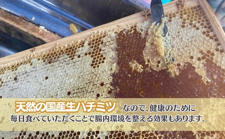 国産生はちみつ　百花・ソバ　300g 2本セット　蜂蜜 食べ比べ 上田市 長野県