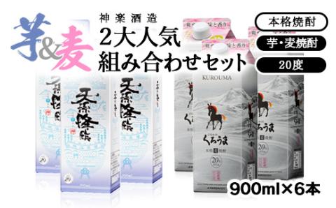 神楽酒造 2大人気焼酎「天孫降臨」「くろうま」組み合わせ6本セット<1.7-23>酒 焼酎 アルコール 西都市