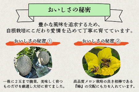 【2025年6月上旬から順次発送】 特大 肥後グリーンメロン 2玉 約5.4kg以上  ～ 果物 フルーツ グリーンメロン 先行予約 5.4kg 青肉 期間限定 数量限定 熊本県 多良木町  101-