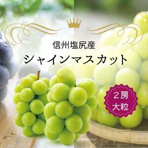 【2026年先行予約】シャインマスカット 2房  (約1.3kg）（2026年9月下旬頃より発送予定）