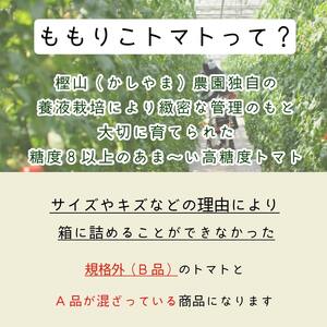 【先行予約】2025年4月発送 ももりこトマト 約2kg(約250g×8パック)　フルーツ トマト 糖度8以上 徳島 甘い 野菜 人気 おすすめ  産地 直送 ふるさと納税 野菜 ヘルシー 健康 小分