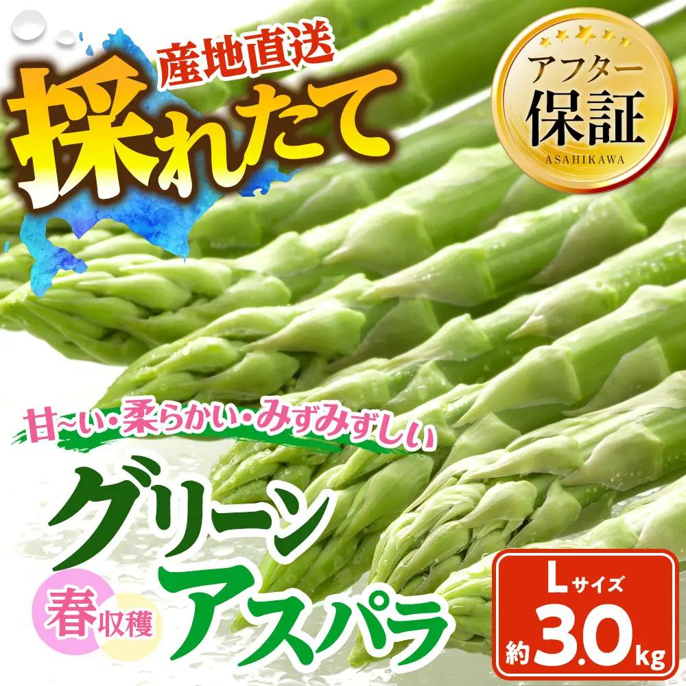 春収穫グリーンアスパラLサイズ（500g×6）約3.0kg（2027年6月上旬から発送開始）| アスパラ 北海道_05533