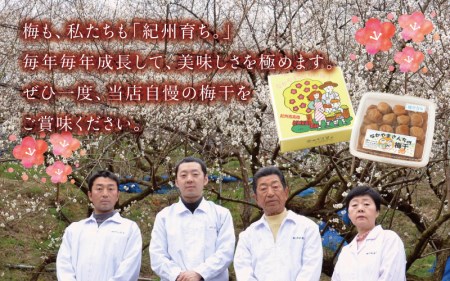 紀州南高梅　うす塩【ハチミツ無】 塩分10%（1kg）なかやまさんちの梅干　うめ　ウメ　【nky002-110k】