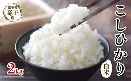 新米 令和8年産 こしひかり 白米 2kg 2026年産