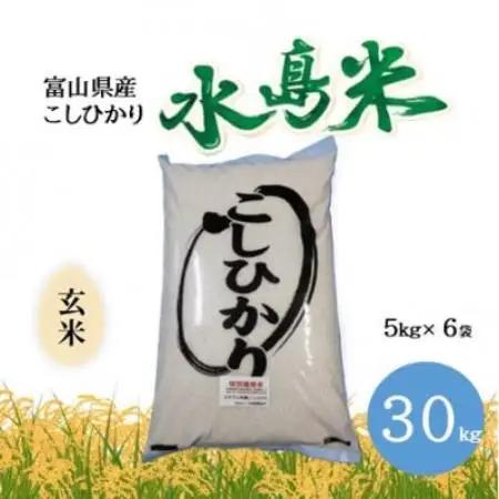 栽培期間中農薬・化学肥料不使用　こしひかり　玄米 5kg×6袋(30kg)【1735092】
