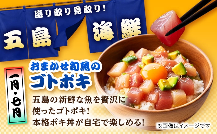 魚 海鮮 魚介類 お魚 五島 ごとう 五島市 長崎県 長崎 定期便 国産 九州 厳選 旬 特産品 20万