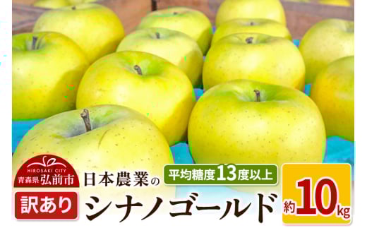りんご 【先行受付】平均糖度13度以上！ シナノゴールド 約10kg 訳あり