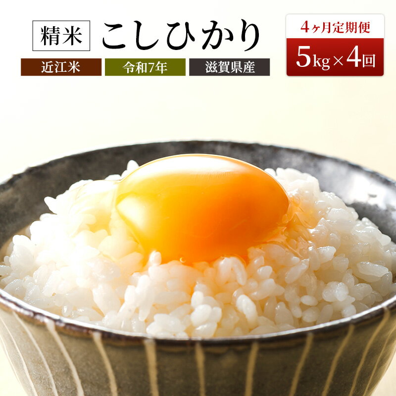 【ふるさと納税】定期便 5kg×4ヶ月連続 特A受賞歴 コシヒカリ 令和7年産 豊かな郷の近江米 お米 4回 箱入り 米 こしひかり 滋賀県産