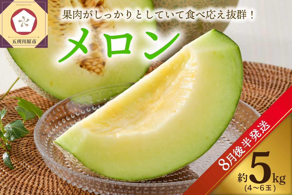 【2026年8月後半発送】 青肉 メロン 5kg程度 (4～6玉) 青森県産