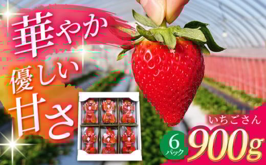 【R8年1月以降発送】 白石町産 いちごさん （150g×6パック）【佐賀県農業協同組合】 九州 佐賀県 白石町 [IAK016]
