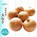 【ふるさと納税】清里町産玉ねぎ約4.5kg 【 ふるさと納税 人気 おすすめ ランキング 野菜 玉ねぎ たまねぎ タマネギ 新鮮 北海道 清里町 送料無料 】 KYSB036