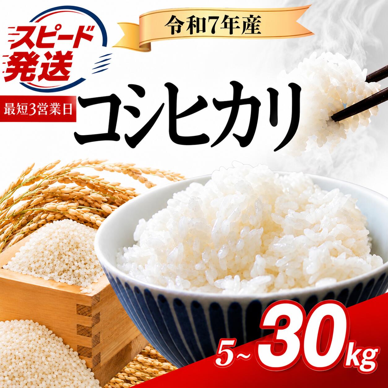 【ふるさと納税】 スピード発送 コシヒカリ 選べる 5kg ～ 30kg 令和7年産 お米 【最短3営業日発送】 白米 精米 ブランド米 令和7年産 米 お米 ライス オコメ コメ おにぎり おむすび 国産 弁当 おこめ ※ 送料無料 茨城県産 R7 5kg 米5kg 米30kg 5キロ 30キロ 2025年産