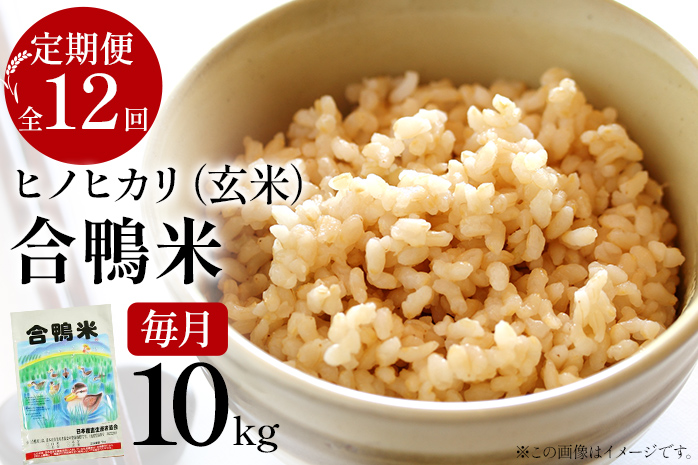 令和7年産 新米予約 合鴨米「ヒノヒカリ」（玄米・10kg）定期便12回コース　BI07　※2025年10月より順次出荷予定