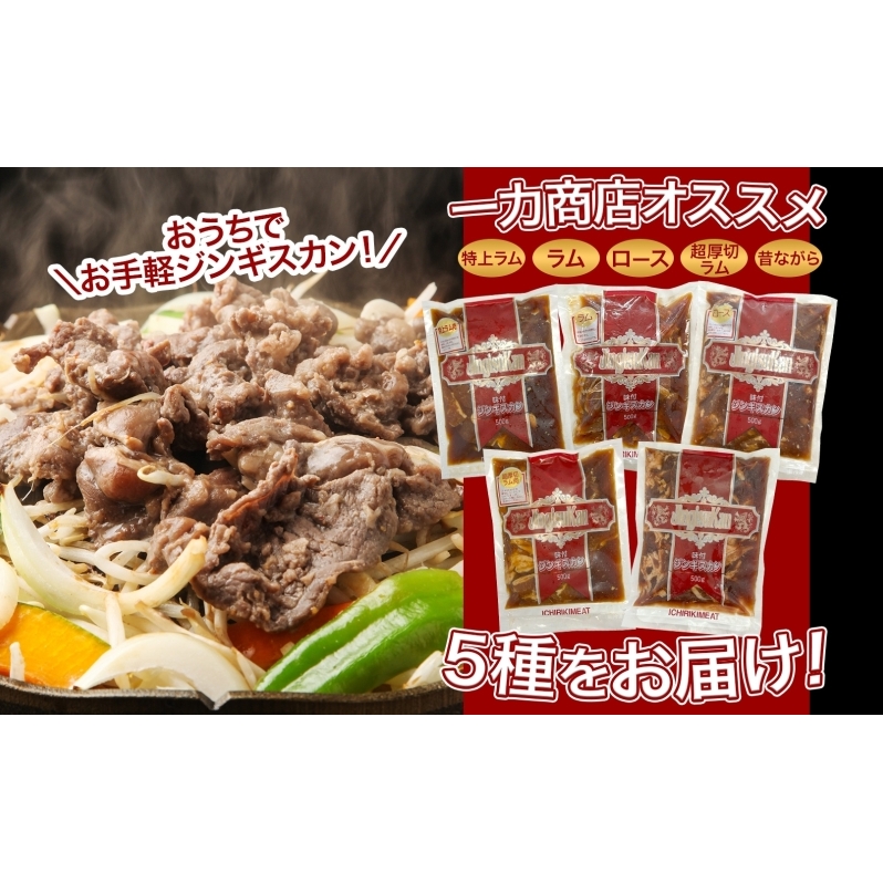 ジンギスカン バーベキュー 5種 2.5kg 小分け セット 食べ比べ 焼肉 焼き肉 ラム ロース 味付け肉 羊肉 羊 肉 お肉 BBQ おかず 惣菜 お弁当 焼くだけ 簡単調理 お取り寄せ グルメ 