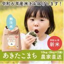 【ふるさと納税】【令和6年産・自家栽培・自家精米・農家直送】稲敷市産あきたこまち10kg(5kg×2袋)無洗米【配送不可地域：離島・沖縄県】【1430545】