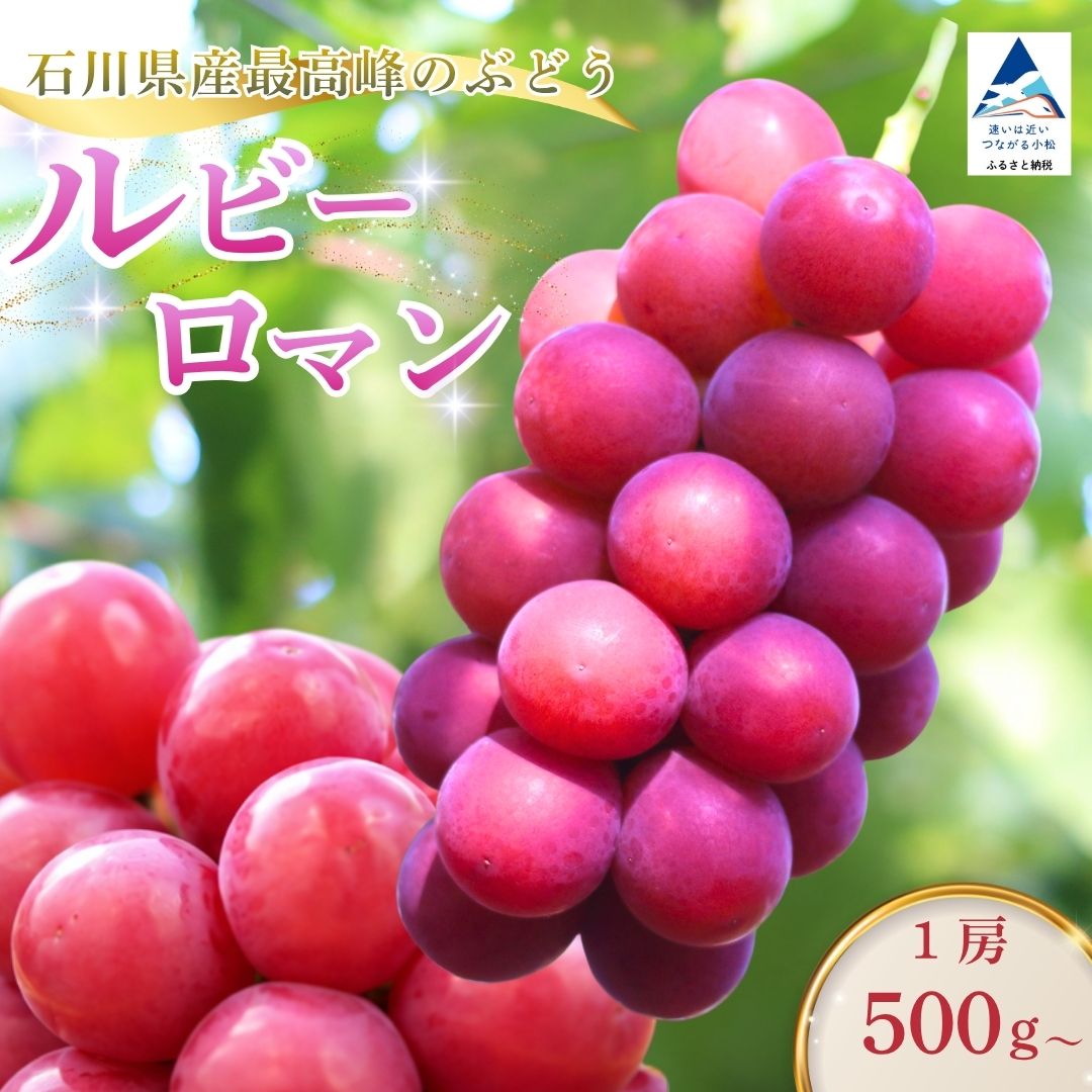 【ふるさと納税】 《2026年 先行予約》 ルビーロマン ぶどう 1房 500g 以上 贈答品 化粧箱入り 石川県 小松市 fx001n00 【堀他】