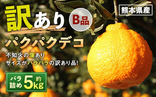 
パクパクデコ 5kg バラ詰め 訳あり（B品） 不知火【2025年2月下旬～6月下旬発送】
