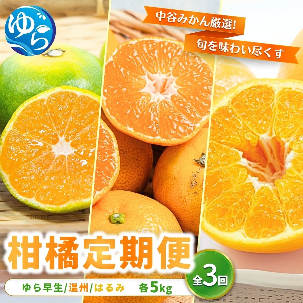 【ふるさと納税】 柑橘 定期便 全3回 / ゆら早生 ・ 温州みかん ・ はるみ / 極早生 甘い 柑橘 フルーツ定期便 和歌山 由良町 農家直送