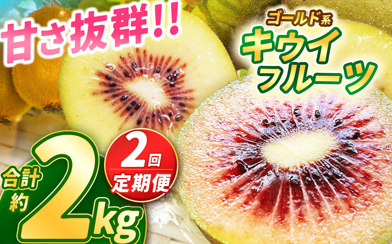 
            【2025年先行予約】【定期便2回】甘さ抜群のゴールド系 キウイフルーツ 約1kg | 果物 くだもの フルーツ 野菜 やさい ヤサイ キウイ きうい ゴールドキウイ ごーるどきうい 新鮮 フレッシュ 甘い 美味しい フルーツ デザート 栃木県 那珂川町 送料無料
          