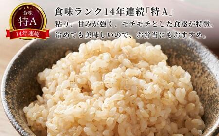 【令和6年産 新米 予約受付】北海道小樽市産 ゆめぴりか(玄米) 10kg(5kg×2袋) おたる木露ファーム 【2024年度先行予約】[ふるさとクリエイト]