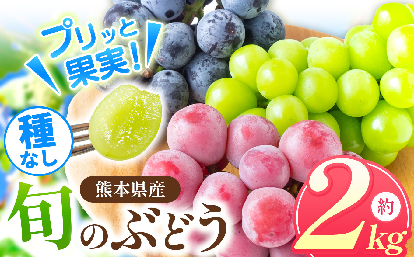 
                  「 フルーツはぎお 」旬の種なし ぶどう と シャインマスカット セット 約 2㎏ ｜ 果物 くだもの フルーツ ぶどう 葡萄 ブドウ シャインマスカット 旬 夏 熊本県 玉名市															
                