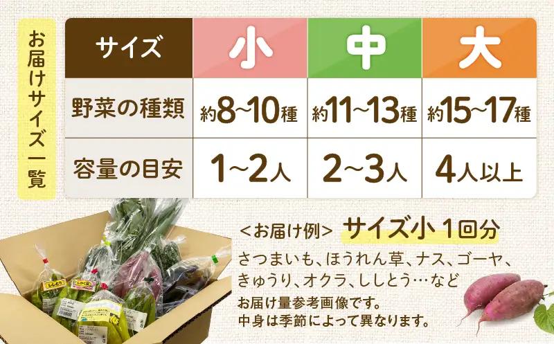 【全４回定期便】春夏秋冬 季節のお野菜セット（サイズ小/約8～10種） 【宮崎県 定期便 詰め合わせ 新鮮 産地直送 おまかせ 季節の野菜 ボックス 農家直送 有機栽培 送料無料 オーガニックのまち 