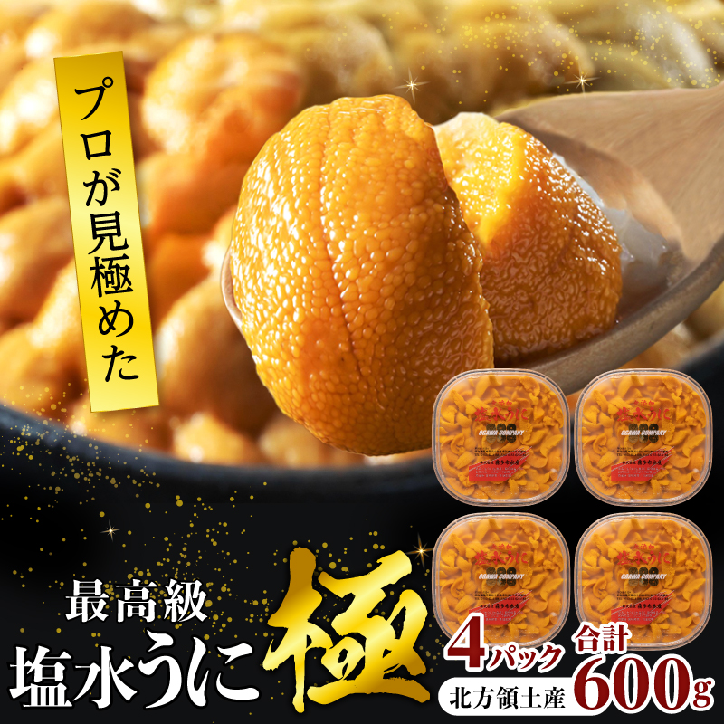≪プロ厳選≫最高級塩水うに(極)計600g うに ウニ 雲丹 塩水うに 海鮮 海産物 北海道 浜中町 ふるさと納税 人気_H0014-117