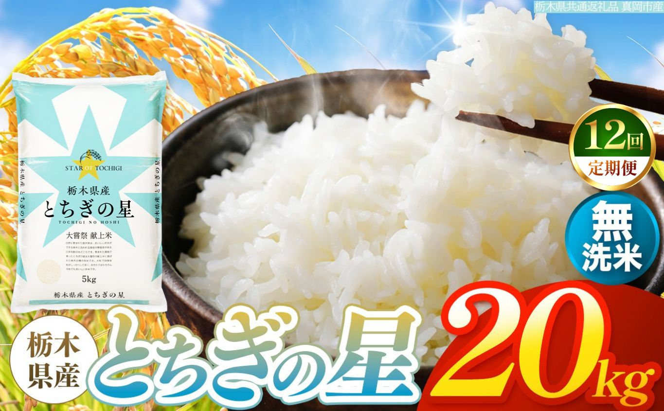 【令和8年産 新米】 【定期便12回】栃木県産 お米 とちぎの星　（無洗米） 20kg 【2026年秋以降発送】 |  栃木県 矢板市 【栃木県共通返礼品 真岡市産】 【定期便12回】無洗米 20kg