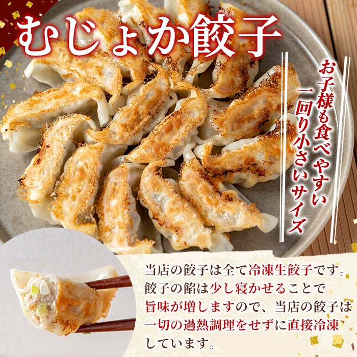 K-285-C 霧島黒豚使用！餃子2種セット(手羽先餃子5個×1P・むじょか餃子15個×2P 計35個)【MAGONIMO餃子】
