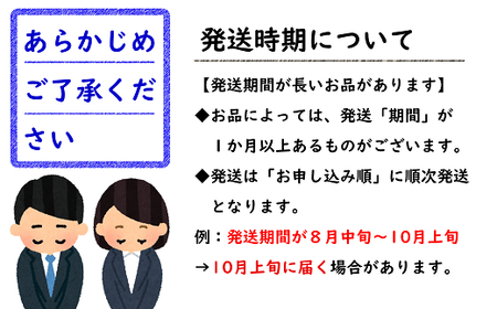 【令和6年産先行予約】 シャインマスカット＆ピオーネ 計約1.5kg (2～4房 秀) 《令和6年9月下旬～10月下旬発送》 『フードシステムズ』 山形県 南陽市 [1389ーR6]