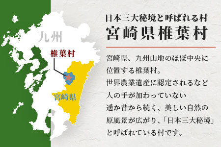 【返礼品なしの寄付】宮崎県椎葉村（1口：10,000円）