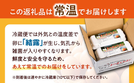 【12回定期便】 平飼い しあわせ たまご 40個＜松本養鶏場＞ [CCD031] 卵