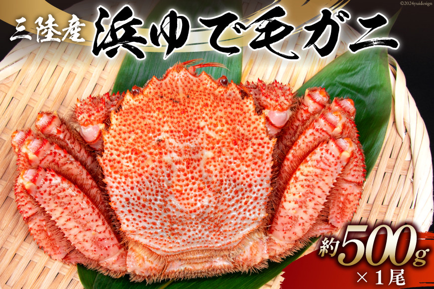 
            【期間限定発送】かに 三陸産浜ゆで毛ガニ 約500g [村東商店 宮城県 気仙沼市 20564164] 魚介類 海鮮 三陸産 三陸 カニ 蟹 毛ガニ 毛がに 毛蟹 ボイル 浜茹で 浜ゆで 冷蔵
          